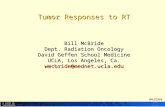 Www.radbiol.ucla.edu WMcB2008 Tumor Responses to RT Bill McBride Dept. Radiation Oncology David Geffen School Medicine UCLA, Los Angeles, Ca. wmcbride@mednet.ucla.edu.
