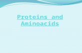 Protein: chain of amino acids joined by peptide bonds Amino Acids: The Building Blocks of protein. Consist of:  Central carbon bonded to hydrogen  Amino.