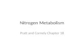 Nitrogen Metabolism Pratt and Cornely Chapter 18.