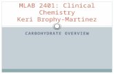 CARBOHYDRATE OVERVIEW MLAB 2401: Clinical Chemistry Keri Brophy-Martinez.