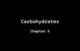 Carbohydrates Chapter 5. What are Dietary Carbohydrates? Organic compounds containing –Carbon –Oxygen –Hydrogen –CH 2 O Formed naturally in nature Synthesized.
