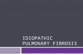 IDIOPATHIC PULMONARY FIBROSIS. MONITORING THE CLINICAL COURSE OF DISEASE.
