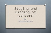 Staging and Grading of cancers By Haleigh Nelson.