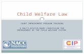COURT IMPROVEMENT PROGRAM TRAINING A MULTI-DISCIPLINARY CURRICULUM FOR IMPROVEMENT OF THE CHILD WELFARE SYSTEM Child Welfare Law.