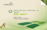 Healthcare Reform is here… NOW WHAT? Donna Lively Director of Insurance Marketing GuideStone Financial Resources.
