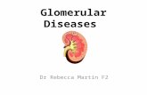 Glomerular Diseases Dr Rebecca Martin F2. Learning objectives 1.Appreciate the fact that glomerular diseases fall onto a wide spectrum 2.Be able to define.