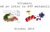 Vitamins (and an intro to ATP metabolism) October 2014.