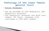Vulvar Diseases:  Can be divided to non-neoplastic and neoplastic diseases.  The neoplastic diseases are much less common. Of those, squamous cell.