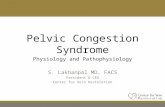 Pelvic Congestion Syndrome Physiology and Pathophysiology S. Lakhanpal MD, FACS President & CEO Center for Vein Restoration.