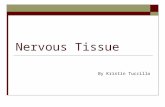 Nervous Tissue By Kristin Tuccillo. What three things is nervous tissue a component of? 1) Brain 2) Spinal Cord 3) Nerves.