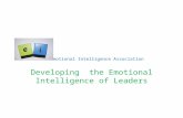 The Emotional Intelligence Association Developing the Emotional Intelligence of Leaders.