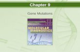 Chapter 9 Gene Mutations. Objectives  Compare phenotypic consequences of point mutations.  Distinguish detection of known mutations from scanning for.