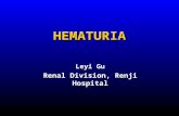 HEMATURIA Leyi Gu Renal Division, Renji Hospital.
