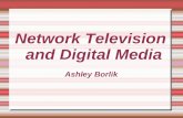 Network Television and Digital Media Ashley Borlik.