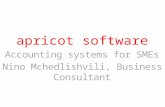 Apricot software Accounting systems for SMEs Nino Mchedlishvili, Business Consultant.