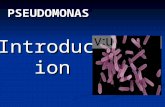 PSEUDOMONAS Introduction.  Large group of aerobic non sporing non sporing gram negative gram negative motile by polar flagella motile by polar flagella.