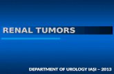 RENAL TUMORS DEPARTMENT OF UROLOGY IAŞI – 2013. RENAL TUMORS  benign renal tumors – adenoma, oncocytoma, angiomyolipoma, leiomyoma, lipoma, hemangioma,