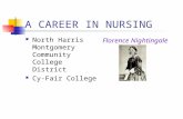 A CAREER IN NURSING North Harris Montgomery Community College District Cy-Fair College Florence Nightingale.