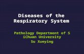 Diseases of the Respiratory System Pathology Department of SiChuan University Su Xueying.