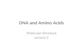 DNA and Amino Acids Molecular Structure Lecture 3.