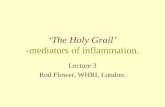 ‘The Holy Grail’ -mediators of inflammation. Lecture 3 Rod Flower, WHRI, London.