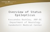 Overview of Status Epilepticus Kassandra Barkley, ANP-BC Department of Neurology Vanderbilt Medical Center.
