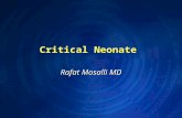 Critical Neonate Rafat Mosalli MD. Objectives Describe the algorithm for neonatal resuscitation and Delivery room management Describe the algorithm for.