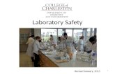 Laboratory Safety 1 Revised January, 2015. THE CHEMISTRY LABORATORY INCLUDES HAZARDS AND RISKS. Scientists understand the risks involved in the laboratory.
