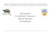 Hematuria Urothelial Tumours Renal Masses Urolithiasis UBC Department of Urologic Sciences Lecture Series.