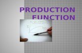 Definition and example of Production Function.  Types of Production Function.  Law Of Production Function.  Law of Variable Proportions.  Production.