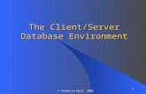 1 © Prentice Hall, 2002 The Client/Server Database Environment.
