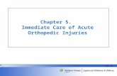 © 2008 LWW Chapter 5. Immediate Care of Acute Orthopedic Injuries.