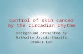 Control of skin cancer by the circadian rhythm Background presented by Nathalie Javidi-Sharifi Druker Lab.