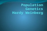 Population Genetics Mendelian genetics predicts the outcome of specific matings between individuals What about the genetics of an entire population?