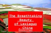 The Breathtaking Beauty of Lexiaguo, China Presented by Nubia.