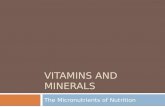 VITAMINS AND MINERALS The Micronutrients of Nutrition.