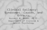 Clinical Epilepsy: Syndromes, Causes, and Effects Russell M. Bauer, Ph.D. Department of Clinical & Health Psychology.