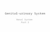Genital-urinary System Renal System Part 2. Behavioral Objectives Identify and describe the etiology, pathophysiology, clinical manifestations, nursing.