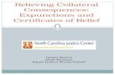 Relieving Collateral Consequences: Expunctions and Certificates of Relief Daniel Bowes Staff Attorney Equal Justice Works Fellow.