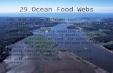 29.Ocean Food Webs EQ: What are the different aquatic ecosystems? Why are they so important to life on Earth? LT:I can identify the organisms within various.