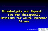 E. Bradshaw Bunney, MD Thrombolysis and Beyond: The New Therapeutic Horizons for Acute Ischemic Stroke.