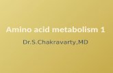 Dr.S.Chakravarty,MD. Explain the steps in synthesis of various non-essential amino acids in the body List the molecules derived from aromatic amino acids.