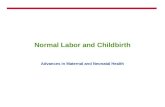 Normal Labor and Childbirth Advances in Maternal and Neonatal Health.