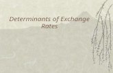 Determinants of Exchange Rates. Why Study Exchange Rates?  To understand the economic environment –Forecasting for planning purposes  To understand.