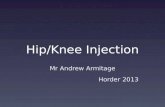 Hip/Knee Injection Mr Andrew Armitage Horder 2013.