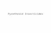 Pyrethroid Insecticides. Derived from natural product -- –Pyrethrum –Found in Chrysanthemum cinerarifolium Synthetic pyrethroids –Variable in structure,