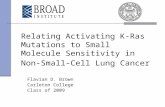 Relating Activating K-Ras Mutations to Small Molecule Sensitivity in Non- Small-Cell Lung Cancer Flavian D. Brown Carleton College Class of 2009.