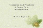 Sugar Bush Management: Module 6 - Maple Facts 1 Principles and Practices of Sugar Bush Management Module 6 – Maple Facts.