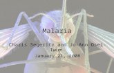 Malaria Charis Segeritz and Jo-Ann Osei-Twum January 21, 2008.