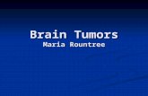 Brain Tumors Maria Rountree. Most common types of brain tumors The most common childhood tumors are: The most common childhood tumors are: 1. Astrocytoma.